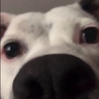 Onlyfans leak ace_45 

 profile picture