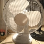 Ale_onlyfans (@ale_onlyfans) Leaked OnlyFans 

 profile picture