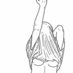 Download alexamarie.123 OnlyFans videos and photos for free 

 profile picture