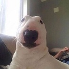 amaaterasuu OnlyFans Leaked 

 profile picture