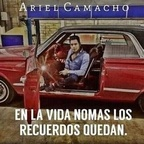 Download ariel_avm OnlyFans content for free 

 profile picture