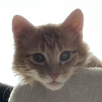 Onlyfans leak asianwinnie 

 profile picture