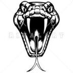 Download auraglow OnlyFans videos and photos for free 

 profile picture