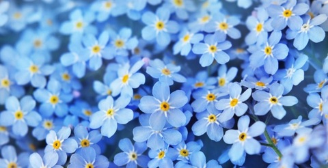 Header of averygjohnson