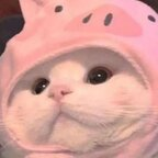 basedxbby (plant based baby 🌱💧) OnlyFans Leaked Pictures and Videos 

 profile picture