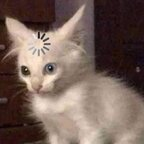Batu (@batux) Leaked OnlyFans 

 profile picture