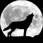 BadWolf (bigbadwolf0) Leaked OnlyFans 

 profile picture