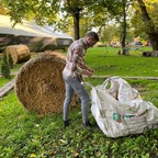 Bjorn big D (@bjornalpha) Leaks OnlyFans 

 profile picture