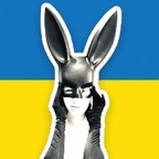 Download blackrabbitgrrl OnlyFans videos and photos for free 

 profile picture