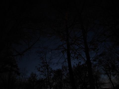 Header of blxssomegirl