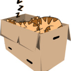 Free access to (boxgirl) Leak OnlyFans 

 profile picture