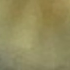 brandiblossom OnlyFans Leak 

 profile picture