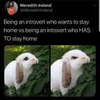 bunnybums (bunnybums) OnlyFans Leaks 

 profile picture