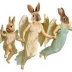 Download bunnygorl OnlyFans videos and photos for free 

 profile picture