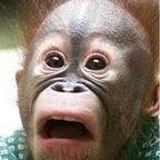 Free access to (busty22) Leak OnlyFans 

 profile picture