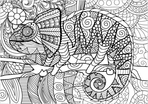 Header of chameleon
