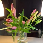 ChanL🍑 (chanelbabe143) Leaked OnlyFans 

 profile picture