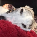 Onlyfans leaked coloott 

 profile picture