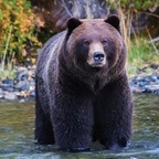 Onlyfans leak coloradonative12 

 profile picture