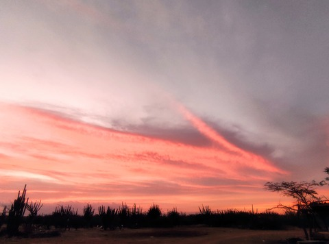 Header of cosita_seria