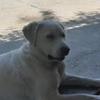 cosmina OnlyFans Leaks 

 profile picture