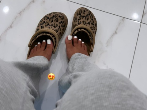 Header of dajahcozartt