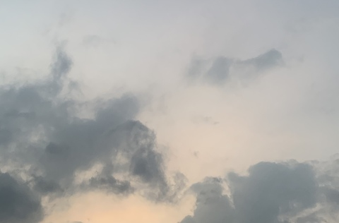 Header of dangoforme