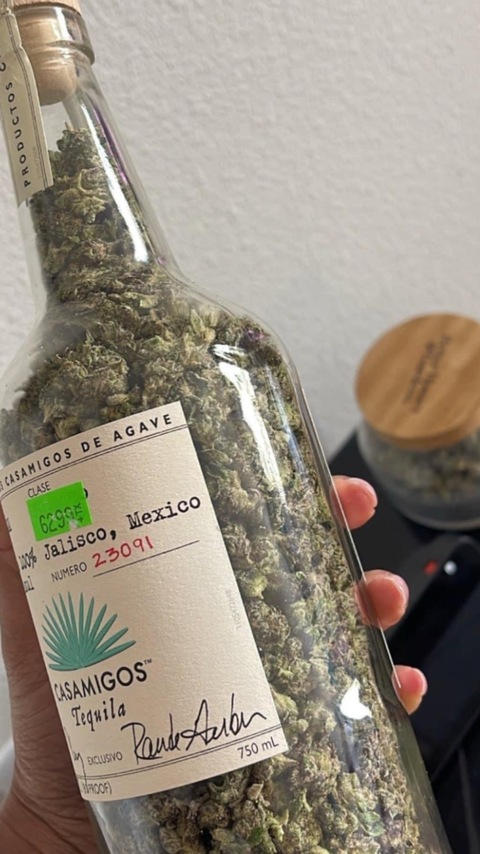 Header of danksof