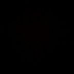 demi_rose (Demi rose 🌹) OnlyFans Leaked Pictures & Videos 

 profile picture