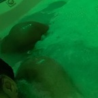 dolllllll (Pretty🥰) OnlyFans Leaked Videos and Pictures 

 profile picture
