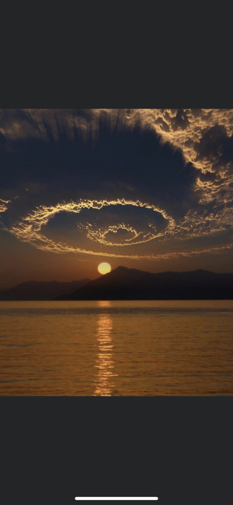 Header of elliestaar