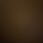 f0xxxybrown OnlyFans Leaked Photos and Videos 

 profile picture