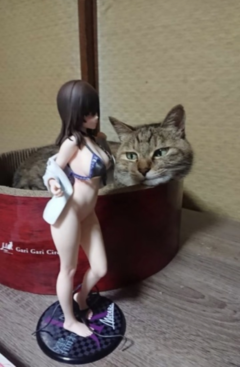 Header of fayefayeplays