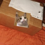 gabyrivas16 OnlyFans Leak 

 profile picture