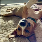 ganja_mistress (Jane Doe) OnlyFans content 

 profile picture