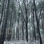 Gavin @gavinjt9 Leaked OnlyFans 

 profile picture