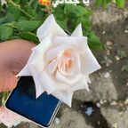 gcc_boys OnlyFans Leaks 

 profile picture