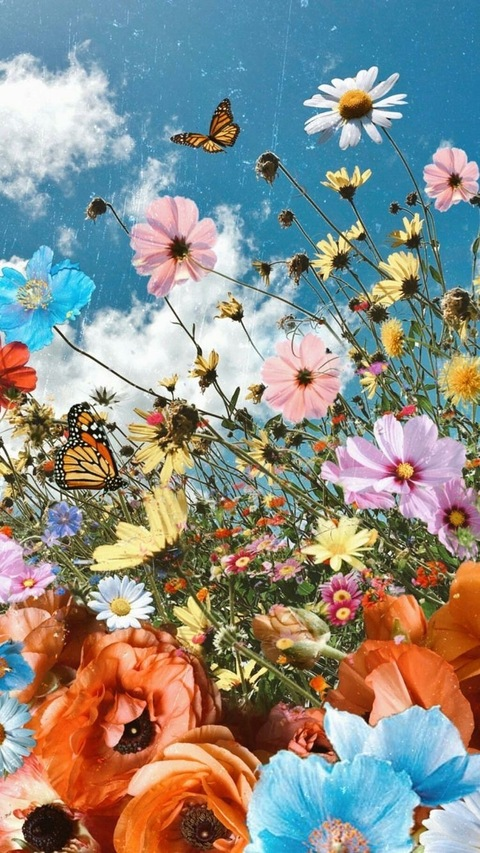Header of ggeorgiapeachh