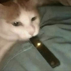 hopexforxnothingx (HopexForxNothingx) free OnlyFans Leaked Pictures & Videos 

 profile picture