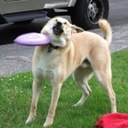 menino roxo (@huldra) Leak OnlyFans 

 profile picture