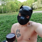 igamenir (Igy (pup/owner)) OnlyFans Leaked Videos and Pictures 

 profile picture