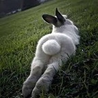 imrichbunny (Coniglietta༄) OnlyFans Leaked Pictures & Videos 

 profile picture