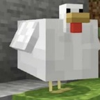 jayden_fuckin_playz OnlyFans Leaks 

 profile picture