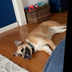 jesscutie77 (Jess 😘) free OnlyFans Leaked Pictures and Videos 

 profile picture