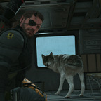 Download johnnyturtle OnlyFans videos and photos for free 

 profile picture