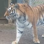 just4u OnlyFans Leaks 

 profile picture