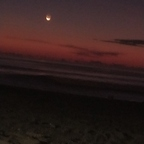 Onlyfans leak korek 

 profile picture