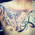 korgriffin OnlyFans Leak 

 profile picture