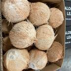 kundragon OnlyFans Leaked 

 profile picture