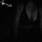 Download laniexo OnlyFans leaks for free 

 profile picture